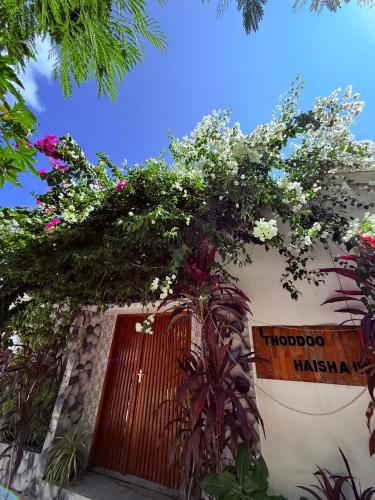 Thoddoo Haisha inn, Maldives