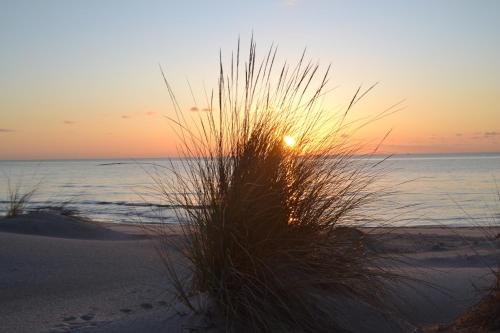 Gallery image of B&B Nonna Olga in SantʼAnna Arresi