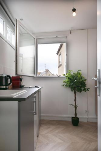 une cuisine avec une plante en pot et une fenêtre dans l'établissement studio trankil coeur d'Ancenis - balcons d'Ancenis, à Ancenis