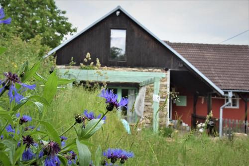 Zahrada ubytování Cottage in Hluboke u Kunstatu