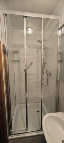 una doccia con una porta in vetro accanto a un lavandino di Ferienwohnung Neubert a Leutenberg