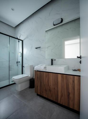 a bathroom with a sink and a toilet and a mirror at Le Bouquet Luxury Suites Ltd in Nicosia