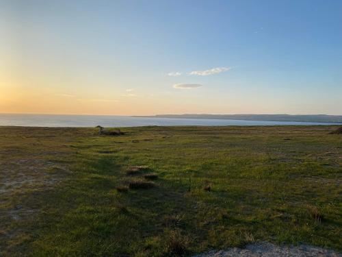 a dog in a field with the ocean in the background at Atlantic Way Farmhouse in Lahinch