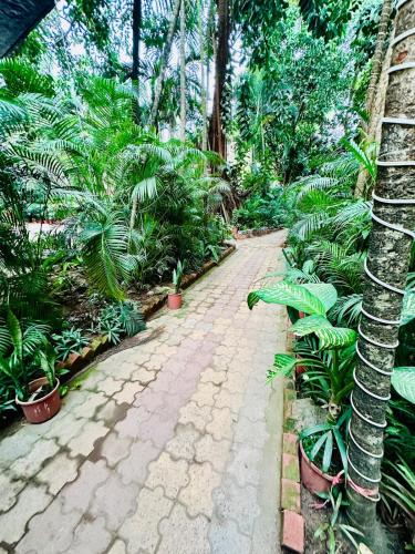 Pool facing Studio in Calanguteにある庭