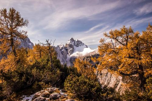 a mountain in the middle of a forest with trees at Apartma Andrej in Rateče