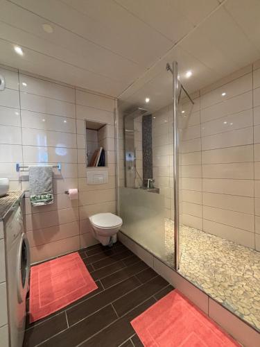 une salle de bain avec toilettes et douche en verre dans l'établissement Attique avec terrasse - Zénith & centre-ville, à Strasbourg