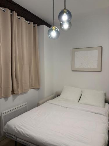 - un lit dans une chambre avec deux lumières au-dessus dans l'établissement Appartement Saint-Pierre TOULOUSE hyper centre ville, à Toulouse