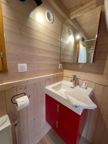 une salle de bain avec un lavabo et un miroir dans l'établissement Tiny Housse à la campagne, à Sarrians
