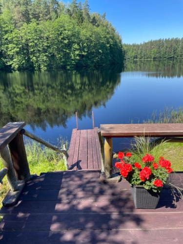 a wooden pier with a bench and flowers on a lake at Päikseranna Puhkemaja in Rõssa