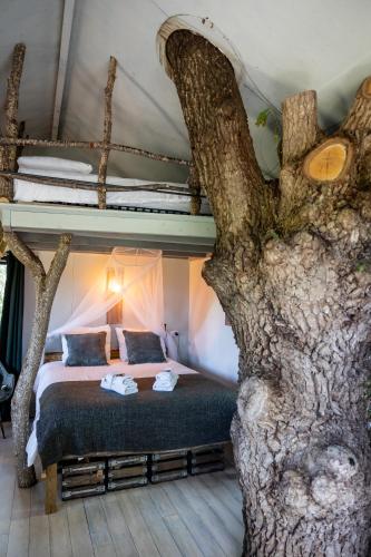 - une chambre avec un arbre qui pousse hors du lit dans l'établissement Boomhuis Domaine Bonneblond, à Saint-Désiré