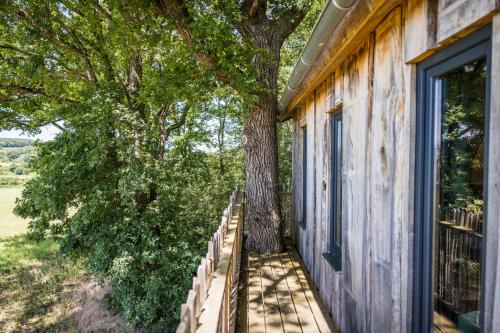 un arbre sur le côté d'une maison avec une terrasse couverte dans l'établissement Boomhuis Domaine Bonneblond, à Saint-Désiré