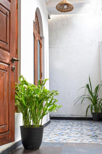 Φωτογραφία από το άλμπουμ του 4ty two Homestay Galle σε Galle