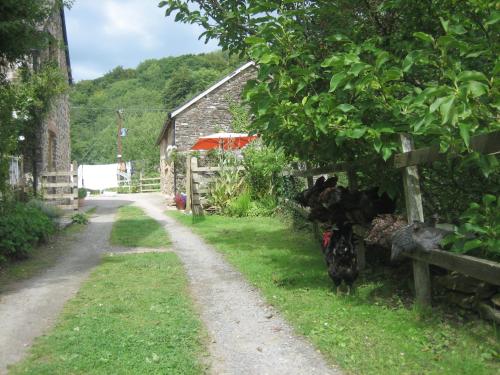 A garden outside Streamcombe Farm 