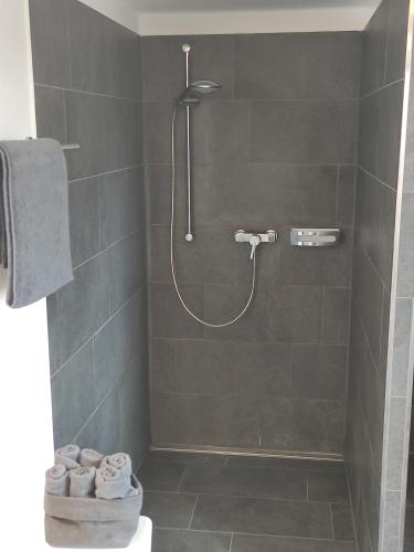 a bathroom with a shower with a toilet in it at Sonniges und modernes Apartment Casa Nobi in Gebenbach