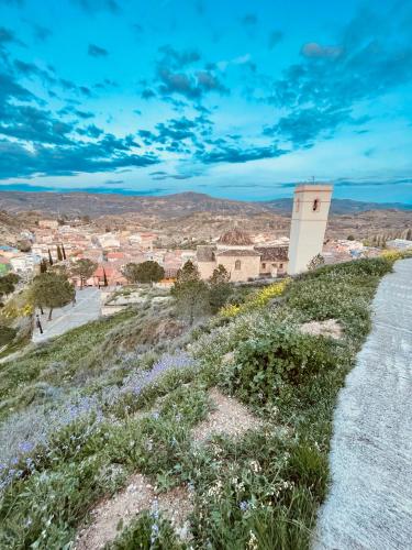 a view of a town from a hill with flowers at Aer Rural Apartment - Casillas Valle de Ayora in Jalance