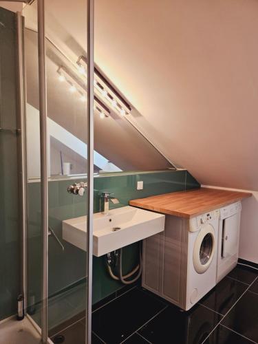 un bagno con lavandino e lavatrice di Elegantes Loft mit 2 Etagen im Königsviertel a Dresda