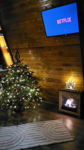 a christmas tree in a living room with a tv at Cabana Valley Vista in Lacu Rosu