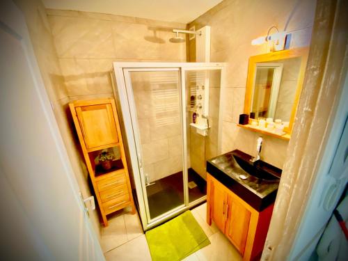 La petite salle de bains est pourvue d'une douche et d'un lavabo. dans l'établissement Les Esplaneilles, à Formiguères