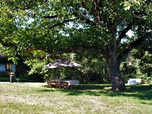 a picnic table under a tree with an umbrella at Gîte Montgaudon in Préporché
