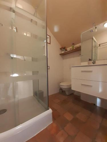 a bathroom with a glass shower and a toilet at Gîte Montgaudon in Préporché