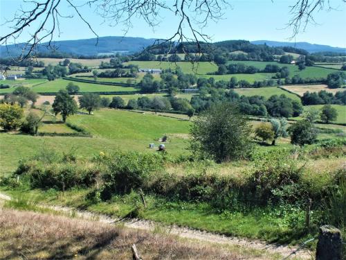 a view of a field with sheep in the distance at Gîte Montgaudon in Préporché