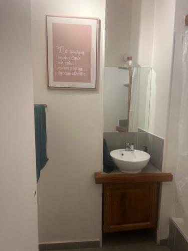 La salle de bains est pourvue d'un lavabo et d'une photo murale. dans l'établissement Appartement quartier la Timone, à Marseille