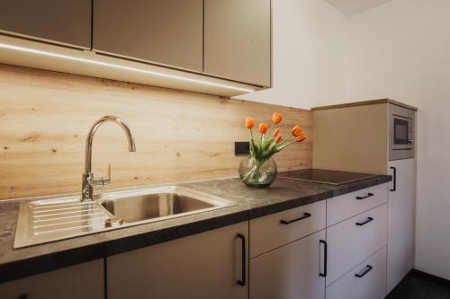 Η κουζίνα ή μικρή κουζίνα στο Töllhof Apartments and Farm