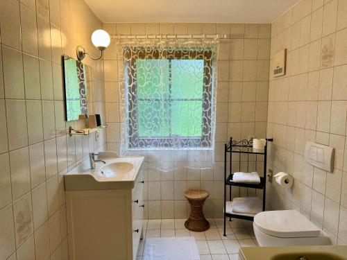 a bathroom with a sink and a toilet and a window at Blusnerhof in Virgen