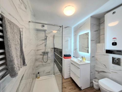 une salle de bain avec une douche, des toilettes et un lavabo dans l'établissement Studio Limonista - cœur Saint Aygulf, à Saint-Aygulf