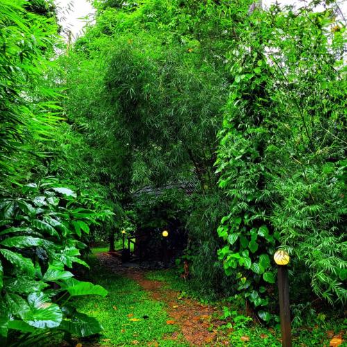 Zahrada ubytování Greens Tree House & Wood House
