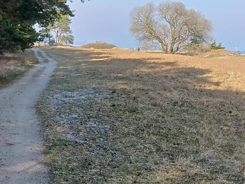 ヴィラの近くで見られる自然の景観