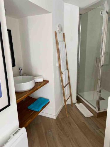 une salle de bain avec un lavabo et une douche en verre dans l'établissement Lovely 2 bedroom garden apartment in Cannes, à Cannes