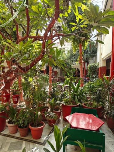 HOTEL TOURIST REST HOUSE Agra
