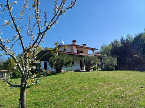 a house in a field with a tree in the foreground at Casa Daniele in Villanuova sul clisi