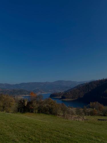 a green field with a lake in the distance at Brvnara Iva in Jezdići