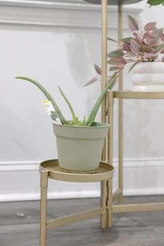 a plant in a pot sitting on a chair at Big Modern Family Home On 1 Acre Land w Firepit & Grill in Ellenwood