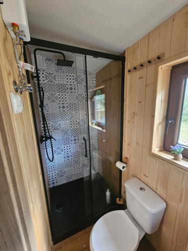 a bathroom with a toilet and a glass shower at HomeWood - Popowo Letnisko in Gąsiorowo Duże