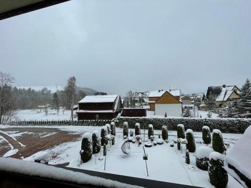 Maniek durante el invierno