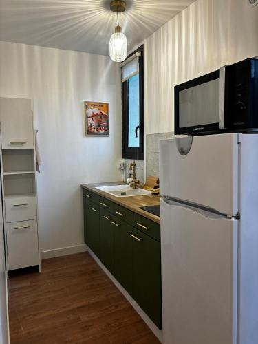 une cuisine avec des armoires vertes et un réfrigérateur blanc dans l'établissement Marclo Appartement Greoux-les-Bains, à Gréoux-les-Bains