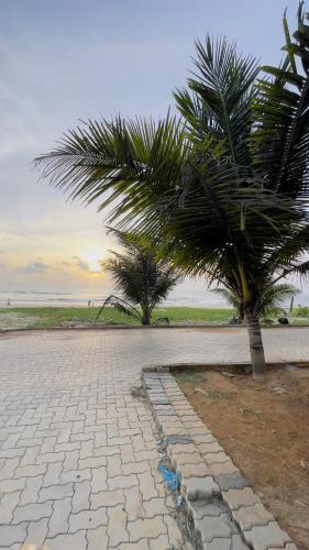 a palm tree sitting next to a cobblestone road at Sea Shells by Malpe - Udupi in Cocoanut Island