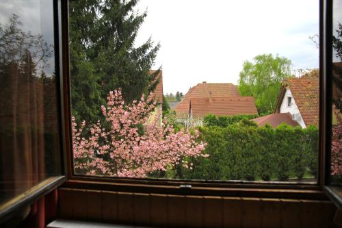a window with a view of a tree with pink flowers at Dunakanyar Apartment in Tahitótfalu