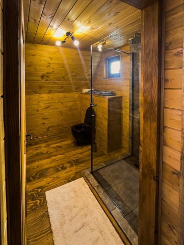 a sauna with a shower in a wooden cabin at A Way To Nature in Măgura