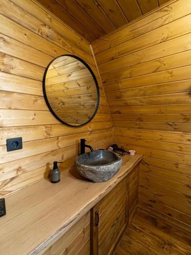 a bathroom with a sink in a log cabin at A Way To Nature in Măgura