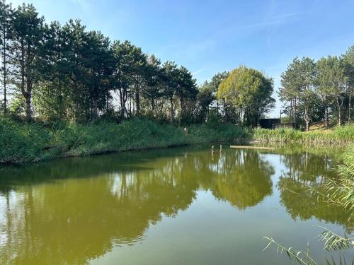 a river with a reflection of trees in the water at Uniek privé natuurdomein voor 14 personen in Evergem