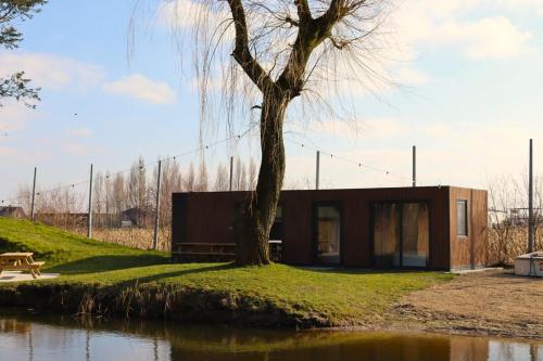 a house with a tree next to a body of water at Uniek privé natuurdomein voor 14 personen in Evergem