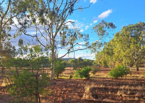 Naturlandschaft in der Nähe des Ferienhauses