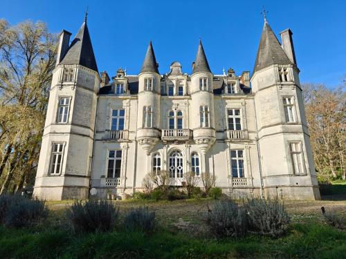 an old castle with four towers on a hill at Château de Vallagon in Montrichard
