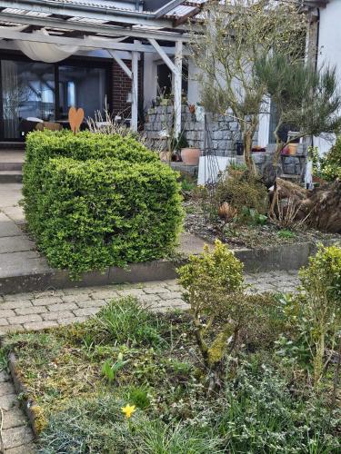 a garden in front of a house with bushes at Bokelrehm 4 in Bokelrehm