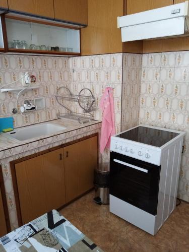 a kitchen with a white stove and a sink at Апартамент Димови in Tryavna