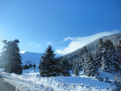 a snow covered mountain with trees and a road at Faraggi One in Kalavrita